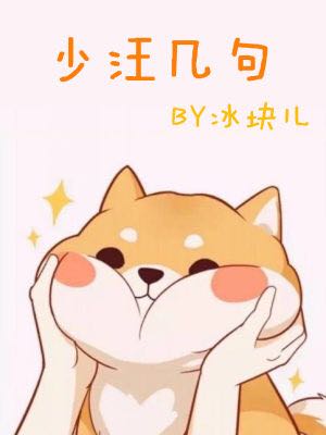 少汪几句txt全文免费阅读
